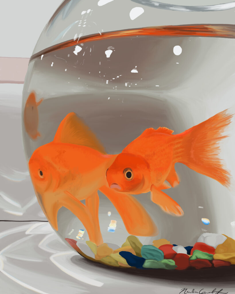 digital illustration of goldfish