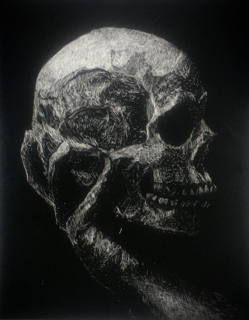 Illustration of skull